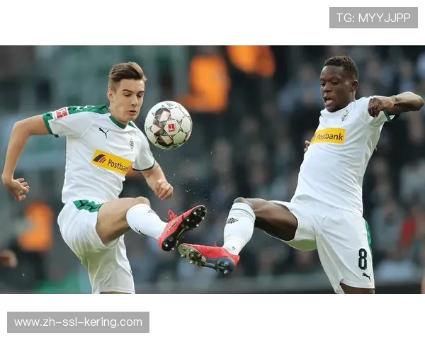 球迷带宠物狗入场，德甲考虑放宽动物政策